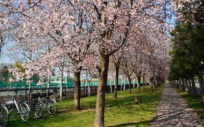 🏞️ 하나사키 스포츠 공원 (아사히카와시 하나사키 스포츠 코엔)